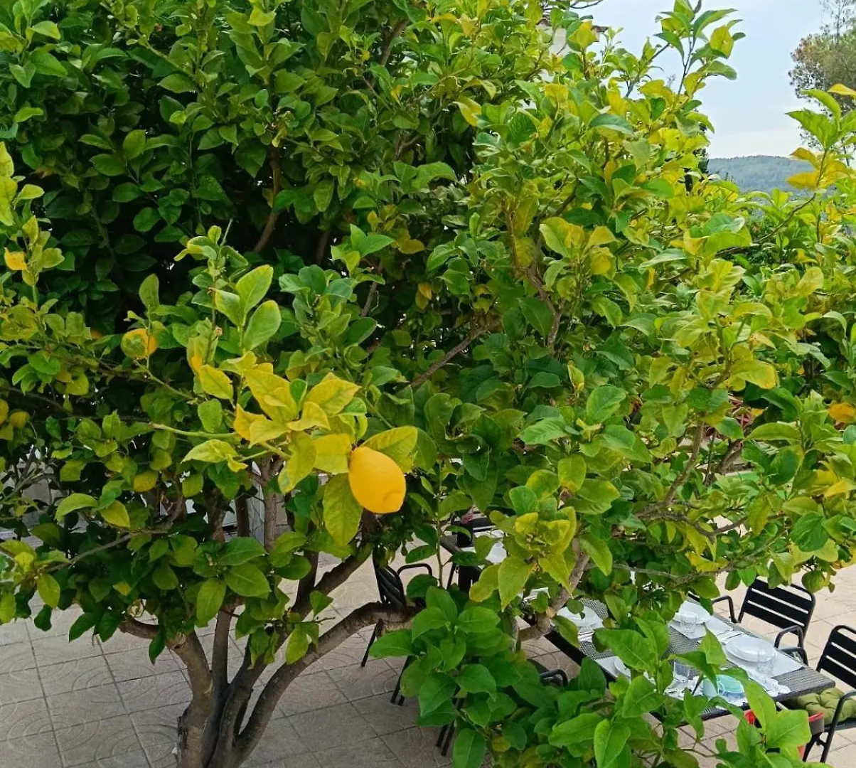 Villa Ilinca Mare & Muntanya Sant Pere De Ribes Holiday home